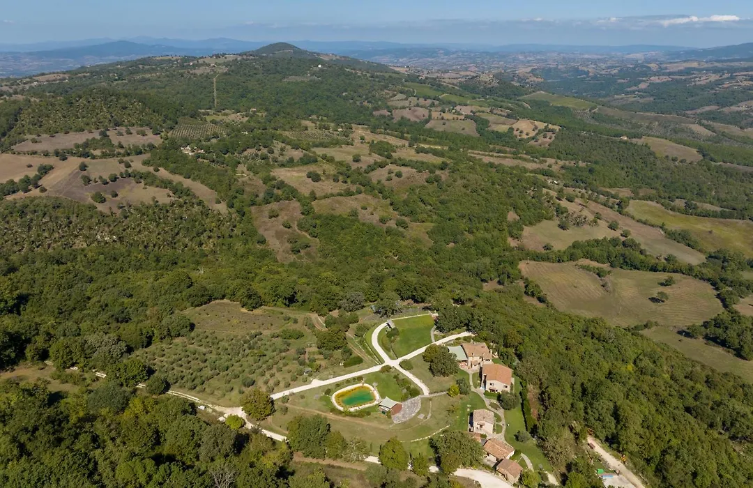 Sasseta Alta-1